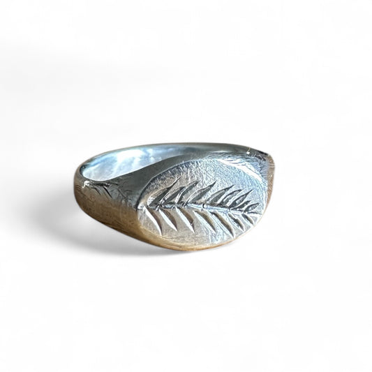 Ring Feder